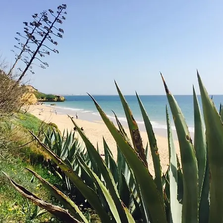 Casa Sol Corcovada Appartement Albufeira